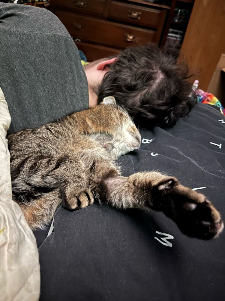 TomTom’s Passing