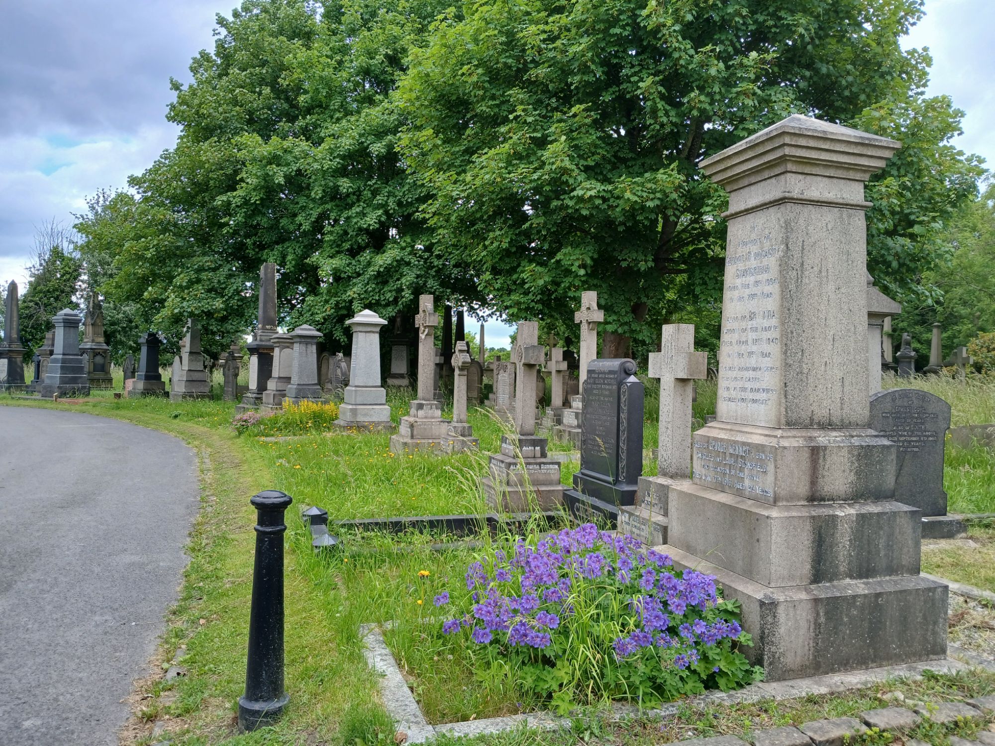 So, I’ve Been Hanging Out In Graveyards A Lot Recently
